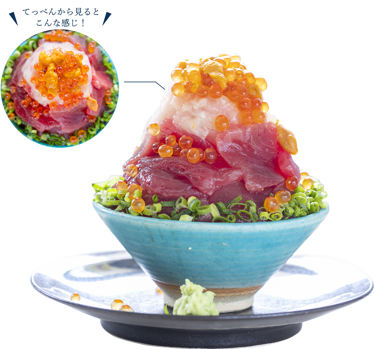 熱海おさかな食堂公式サイト 熱海おさかな食堂公式サイト
